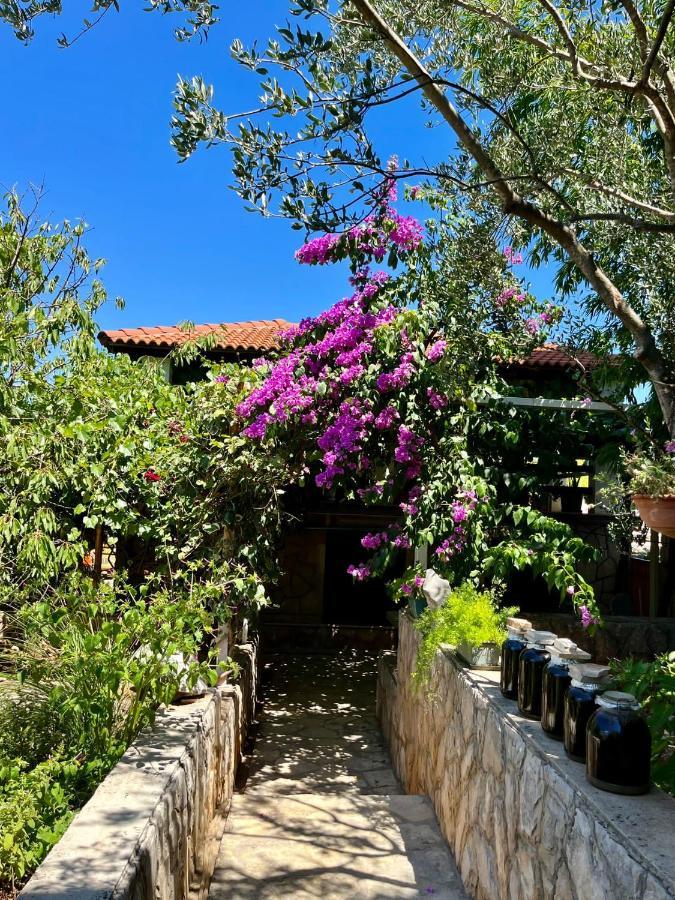 דירות ילסה Gorana Apartman With Swimming Pool מראה חיצוני תמונה