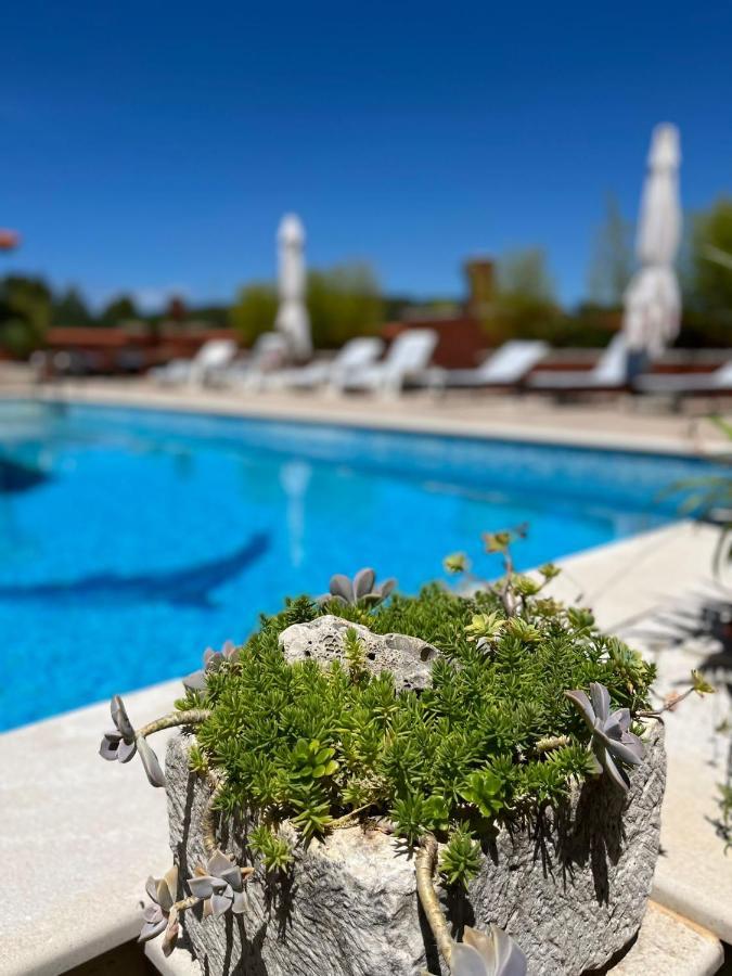 דירות ילסה Gorana Apartman With Swimming Pool מראה חיצוני תמונה