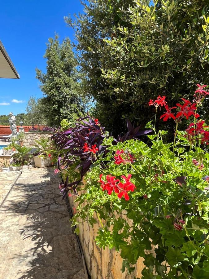 דירות ילסה Gorana Apartman With Swimming Pool מראה חיצוני תמונה